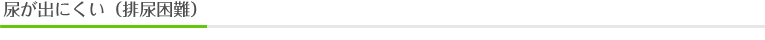 尿漏れ（尿失禁）